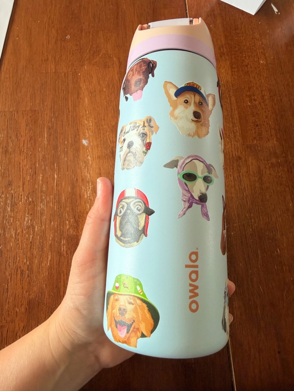 Owala UO Exclusive Dog Collage FreeSip 32 oz Water Bottle